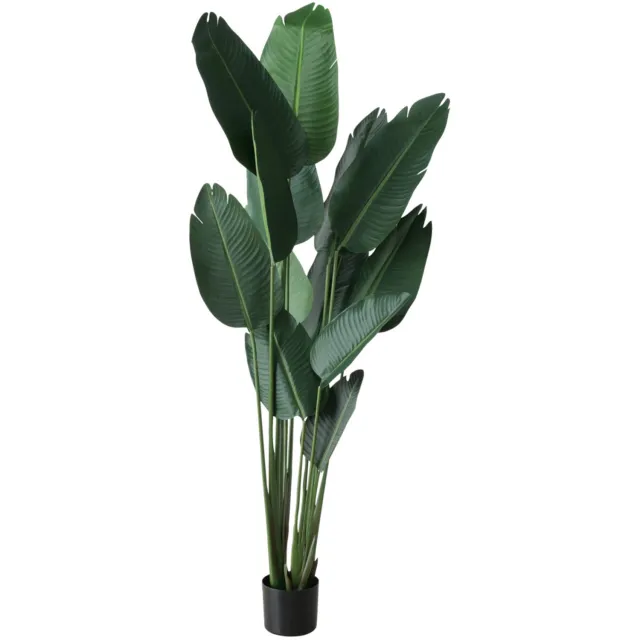 Boltze Kunstplant bananenboom, hoogte 185 cm Groen