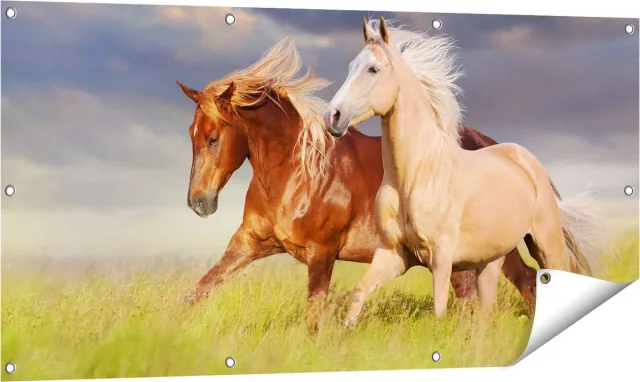 Gards Tuinposter Bruin en Wit Paard in de Wei - 120x60 cm - Tuindoek - Tuindecoratie - Wanddecoratie buiten - Tuinschilderij Multikleur