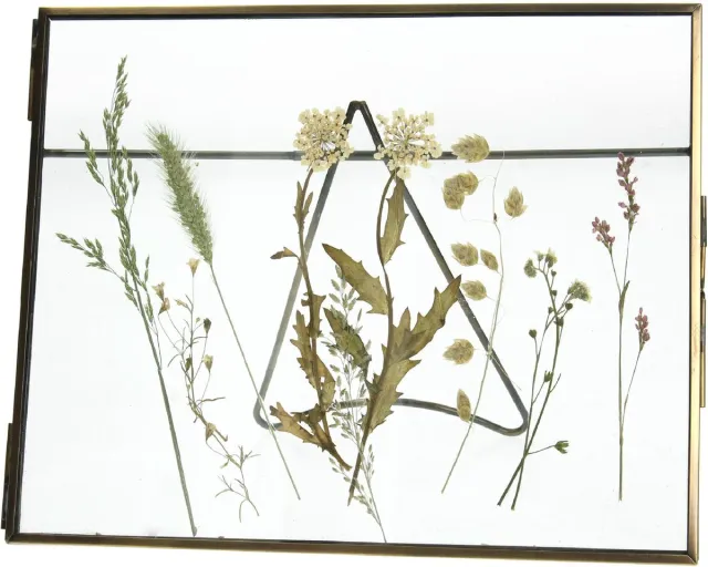 Wants&Needs Fotolijst Dried Flower Messing Brons 20.5 X 2 X 15.2 Goud