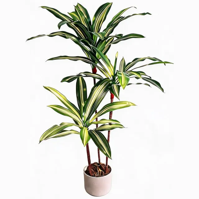 Danky kunst Dracaena Brasil 100cm PEVA PE - levensechte compacte groenplant met verzwaarde pot voor bureau woonkamer decoratie groente