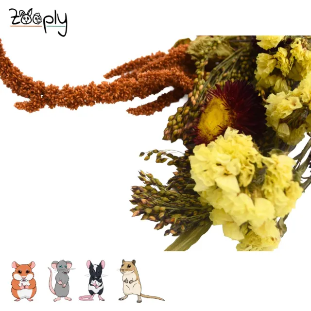 Zooply Zomer boeket - 100 gram - in koker