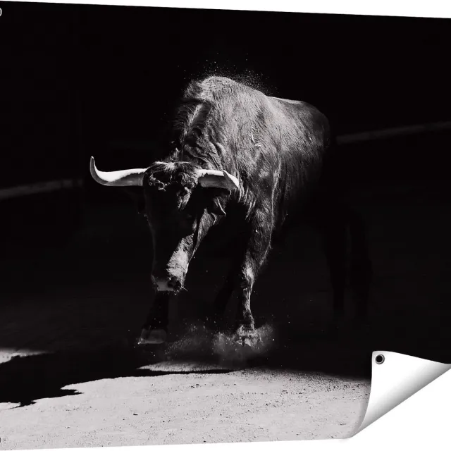 Gards Tuinposter Stier in de Arena - Zwart Wit - 100x80 cm - Tuindoek - Tuindecoratie - Wanddecoratie buiten - Tuinschilderij Multikleur