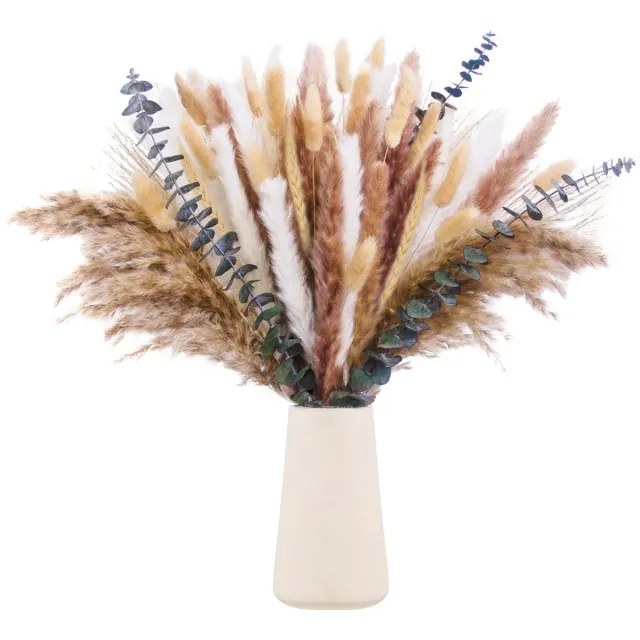 Ibenzoa Prachtig Pampasgras Droogbloemenboeket voor Boho-Stijl Decoratie in Huis, Woonkamer en Eetkamer Wit
