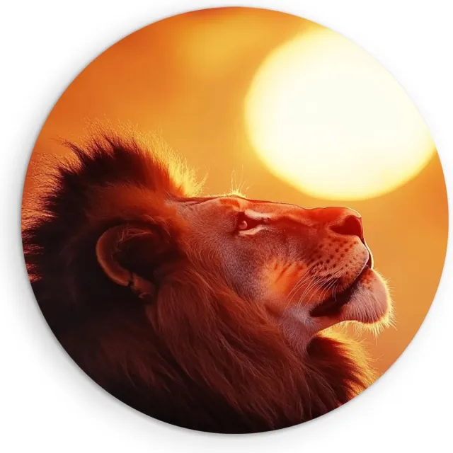 Saammp Muurcirkel Hout - Leeuw met afrikaanse zon - Dieren - Natuur - Ø 50 - Wandcirkel - Wanddecoratie Cirkel - Muurdecoratie Woonkamer - Slaapkamer decoratie - Rond Schilderij