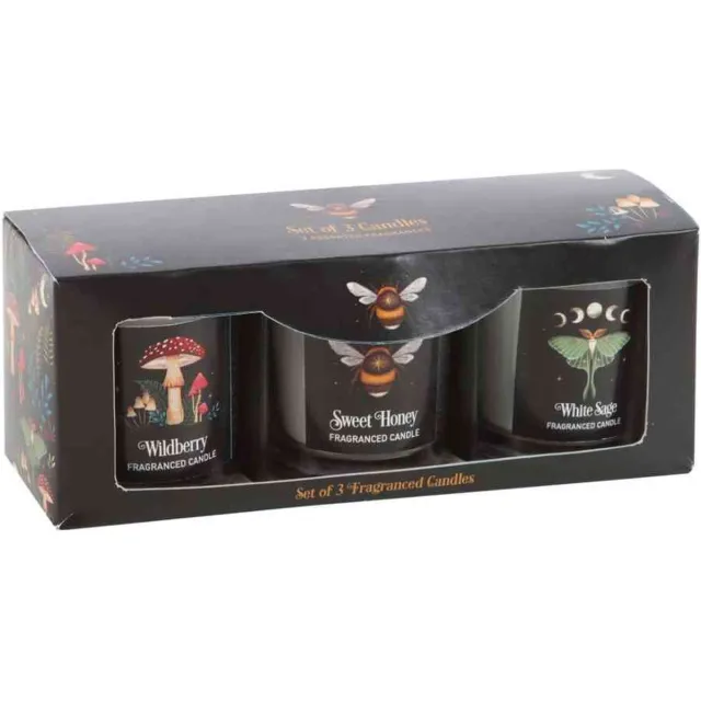 Something Different Dark Forest Votive Candle Trio Kaars - Multicolours