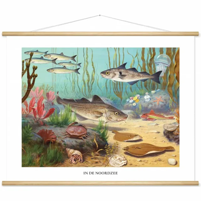 wallchart unlimited Schoolplaat 'In de Noordzee' van M.A. Koekkoek wit