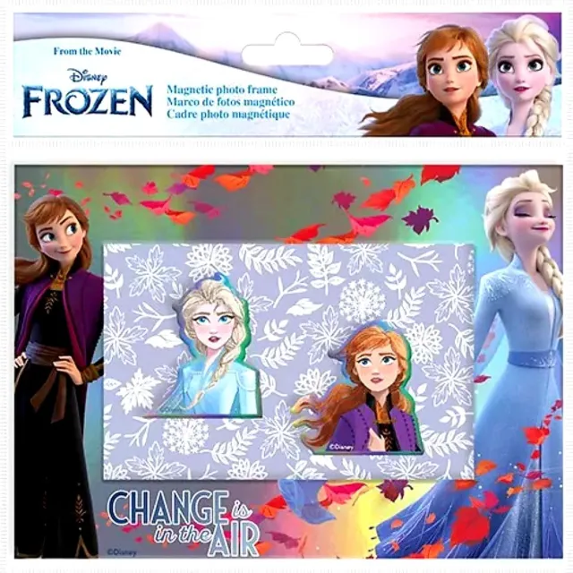 Disney Frozen Magnetische Fotolijst multi