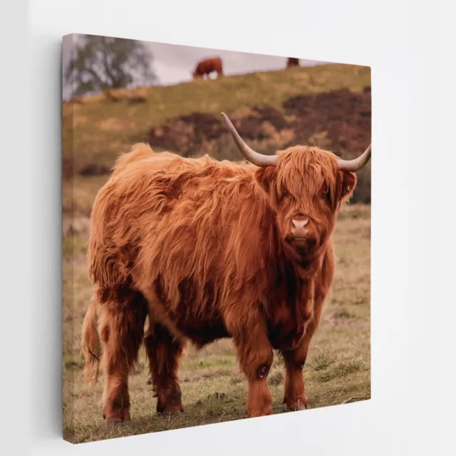 Saammp Canvas Schilderij - Schotse Hooglander Koe bij een meer - Dieren - Natuur - 20x20 - Foto op canvas - Wanddecoratie - muurdecoratie Woonkamer - Slaapkamer decoratie - Canvas Print Multicolor