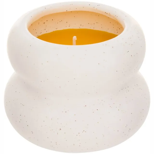 Atmosphera Créateur d'intérieur® Bougie parfumée 75g Morgan citronnelle white