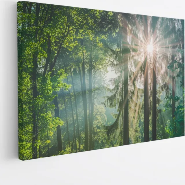 Saammp Canvas Schilderij - Zon tussen de bomen - Bos - Landschap - Natuur - 70x50 - Foto op canvas - Wanddecoratie - Muurdecoratie Woonkamer - Slaapkamer decoratie - Canvas Print Multicolor