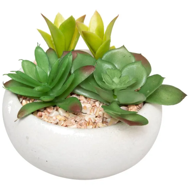 Atmosphera Créateur d'intérieur® Kunstvetplant MIKI noir