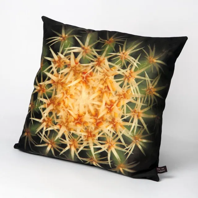 Hugs Sierkussen - Indoor Bolcactus - Groen - 50 Cm X 50 Cm