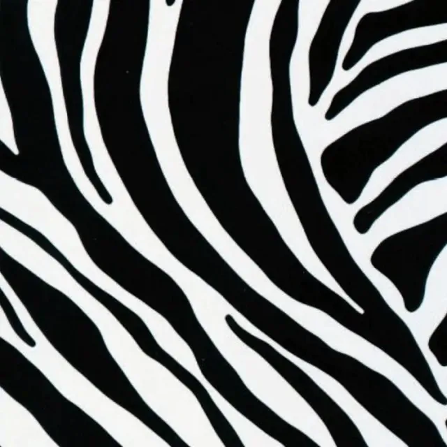2LIF Decoratie plakfolie meubelfolie Zebra 45 cm x 2 meter zelfklevend - Decoratiefolie - Plakplastic - Raamfolie