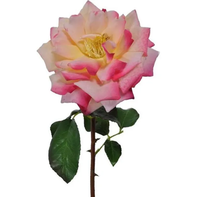 Viv! Home Luxuries Roos - zijden bloem - roze geel - 51cm