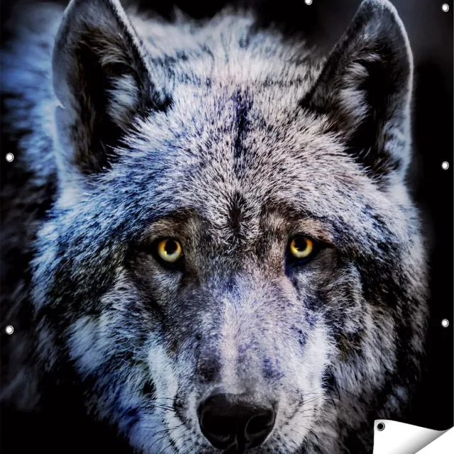 Gards Tuinposter Grijze Wolvenkop - Wolf - 110x110 cm - Tuindoek - Tuindecoratie - Wanddecoratie buiten - Tuinschilderij Multikleur