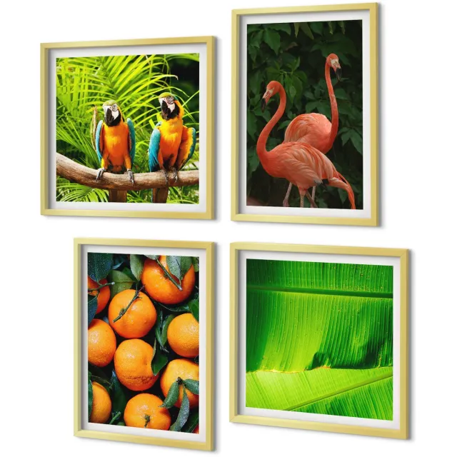 Coloray 4-Delige Schilderij Set - Fruitige accenten met papegaaien en flamingo's in de tropen - 40 x 40 cm en 40 x 60 cm - Muurdecoratie - Wanddecoratie - Slaapkamer Gouden lijst