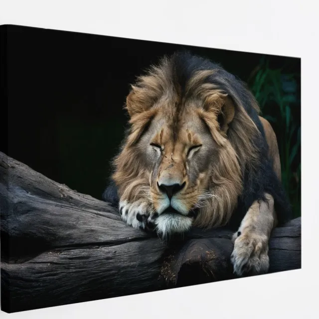 Saammp Canvas Schilderij - Leeuw op boomstronk - Dieren - Natuur - 60x40 - Foto op canvas - Wanddecoratie - Muurdecoratie Woonkamer - Slaapkamer decoratie - Canvas Print Multicolor