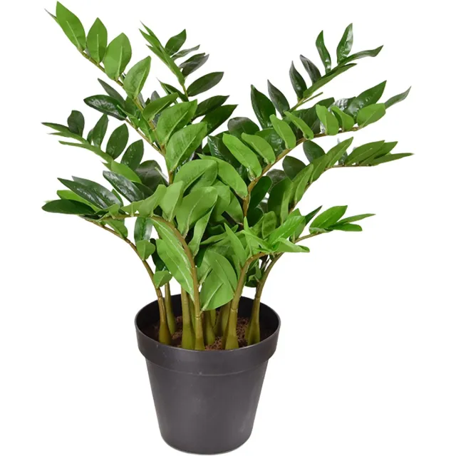 maxifleur Kunstplanten Zamioculcas kunstplant 70cm Groen