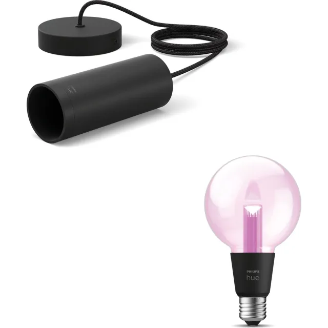 Philips Hue Lightguide Hanglamp (Zwart) - E27 - Wit en Gekleurd Licht - Incl. 1 Hue Lightguide Globe Lamp Klein (G95) - Hue White and Color Ambiance