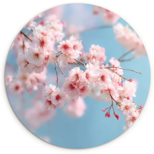 WallCircle Wandcirkel 120x120 cm - Muurcirkel Takken - Bloesems - Roze - Muurdecoratie woonkamer - Wanddecoratie slaapkamer - Kamer decoratie accessoires - Ronde schilderijen