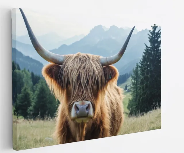 Saammp Canvas Schilderij Schotse Hooglander Koe jong - Dieren - Natuur - 50x40 - Foto op canvas - Wanddecoratie - muurdecoratie Woonkamer - Slaapkamer decoratie - Canvas Print Multicolor