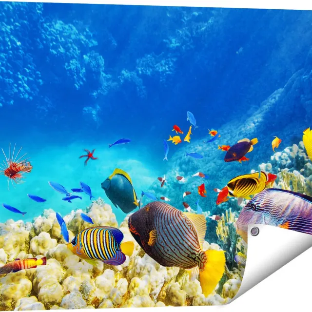 Gards Tuinposter Vissen in de Oceaan met Koralen - 80x60 cm - Tuindoek - Tuindecoratie - Wanddecoratie buiten - Tuinschilderij Multikleur
