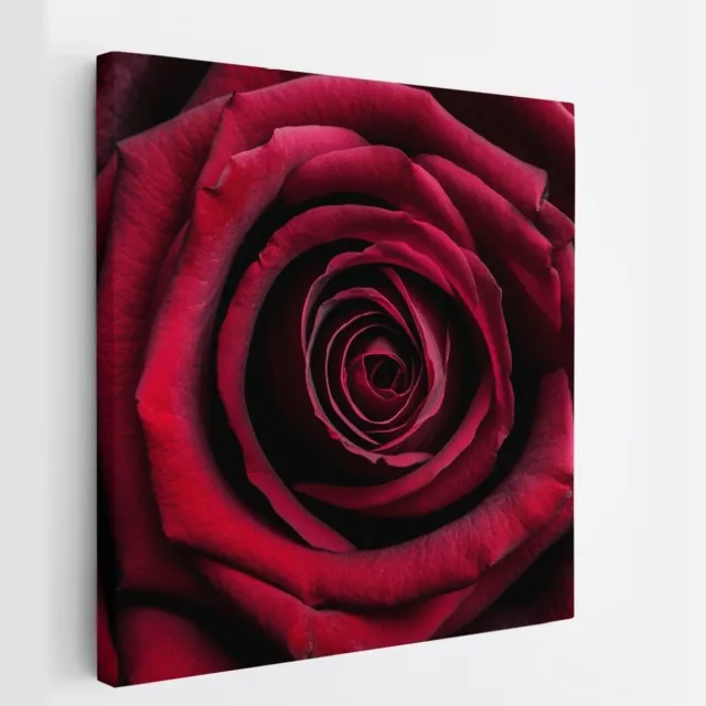 Saammp Canvas Schilderij - Rode Roos Close-Up - Natuur - Abstract - 60x60 - Foto op canvas - Wanddecoratie - Muurdecoratie Woonkamer - Kantoor Decoratie Multicolor
