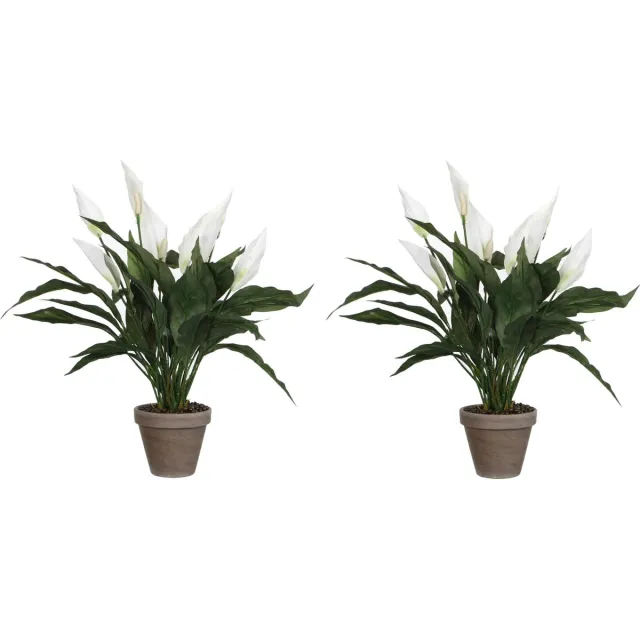 Mica Decorations Kunstplant - 2x stuks - spathiphyllum lepelplant - wit - H45 x D40 cm
