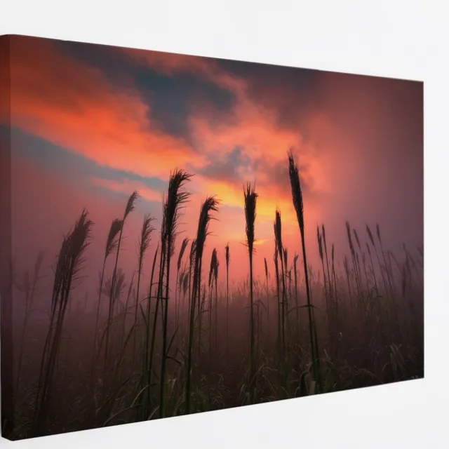 Saammp Canvas Schilderij - Graan tijdens zonsondergang - Natuur - Landschap - 100x75 - Foto op canvas - Wanddecoratie - Muurdecoratie Woonkamer - Slaapkamer decoratie - Canvas Print Multicolor