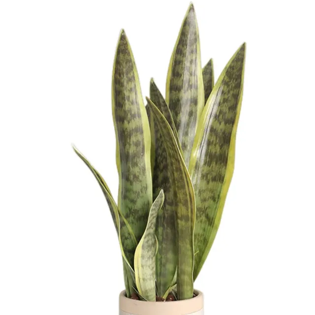 Unyqoos Set van drie kunstplanten Sansevieria voor interieurdecoratie thuis en op kantoor Groen