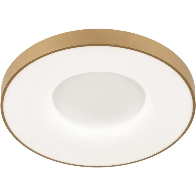 Lumidora Plafondlamp 75032 - Plafonniere - BORLIND - Ingebouwd LED - 30.0 Watt - 3000 Lumen - 6500 Kelvin - Goud - Messing (kleur) - Kunststof - Met dimmer - Badkamerlamp - ⌀ 49 cm