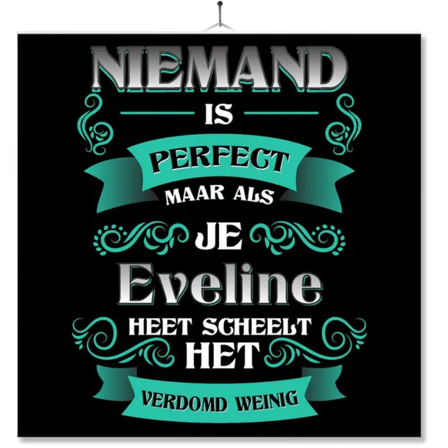 MC Living Tegel Met Opdruk | Kado | Cadeau | Niemand Is Perfect Maar Als Je Eveline Heet Scheelt Het Verdomd Weinig Multi-Color