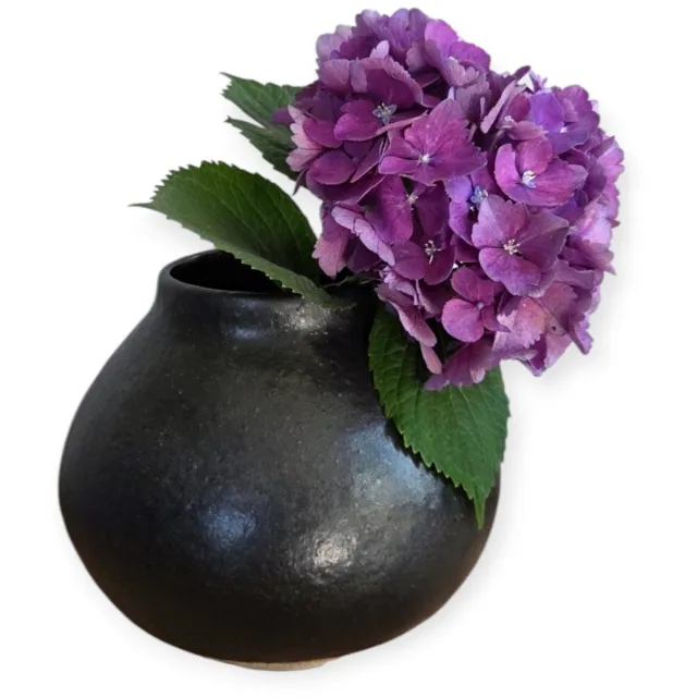 Home Society Vaas - Keramiek - Bolvaas - Zwart - Beige - 16x17cm - Modern - Landelijk - Ook als plantenpot
