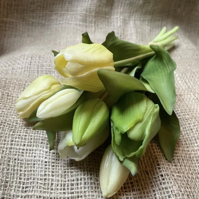 KNUS Lifestyle Kunstbloem Tulp - Groen / Wit - Real touch tulpen - 30 a 31 cm - Boeket - Kunstbloemen - Kunst bloem - Sally tulp - Green / White - NL - Interieur - Sfeer - Voorjaar - Pasen - Paasdecoratie - Bloemen - Moederdag - Oma - Decoratief - Deco - Decoratie
