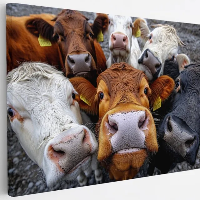 Saammp Canvas Schilderij - Koeien van dichtbij - Nederland - Dieren - 30x20 - Foto op canvas - Wanddecoratie - Muurdecoratie Woonkamer - Slaapkamer decoratie - Canvas Print Multicolor