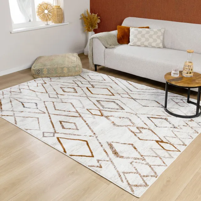 Fraai Hoogpolig vloerkleed - Blend Diamond Terracotta - 160x230cm