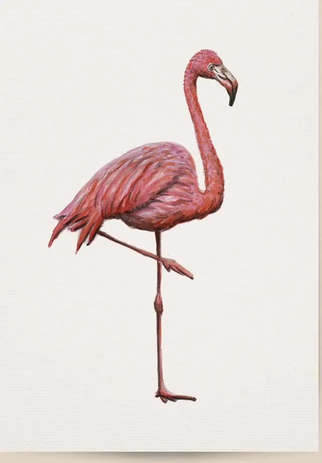 World of Mies poster flamingo - A4 - mooi dik papier - Snel verzonden! - tropisch - jungle - dieren in aquarel - geschilderd door Mies pink