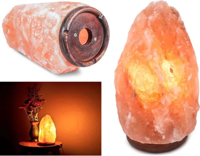 Kreeft Himalaya Zoutlamp – Zoutsteen tafellamp 17-25cm - Luchtzuivering en LED - Nachtlampje Zwart