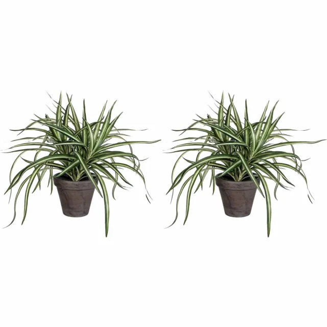 Mica Decorations Dracaena kunstplanten - 2x stuks - 34 cm - in grijze pot - Kunstplanten/nepplanten Groen