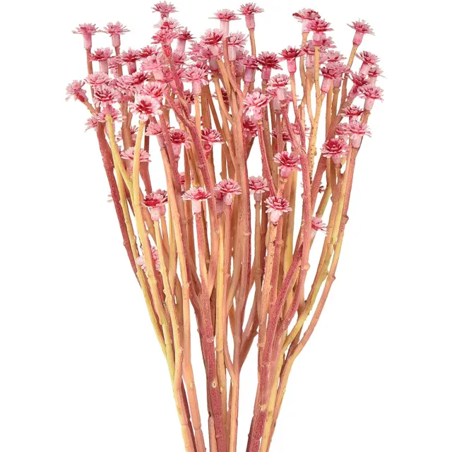 Viana Currykruid Immortelle Kunstroze L28cm 12 stuks 1 bos