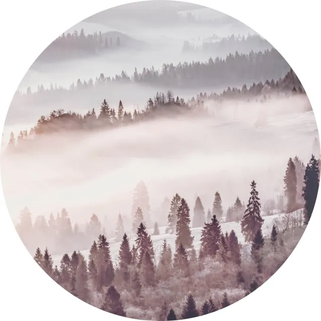 Tizato Muurcirkel Bos in de Mist – Roze – Zelfklevende wandcirkel Muursticker – Ø 146 cm