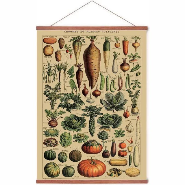 Esque Poster In Posterhanger - Vintage Groenten - Kader Hout - Educatief - 70x50 cm - Planten/Botanisch - Ophangsysteem Vintage groenten met posterhanger