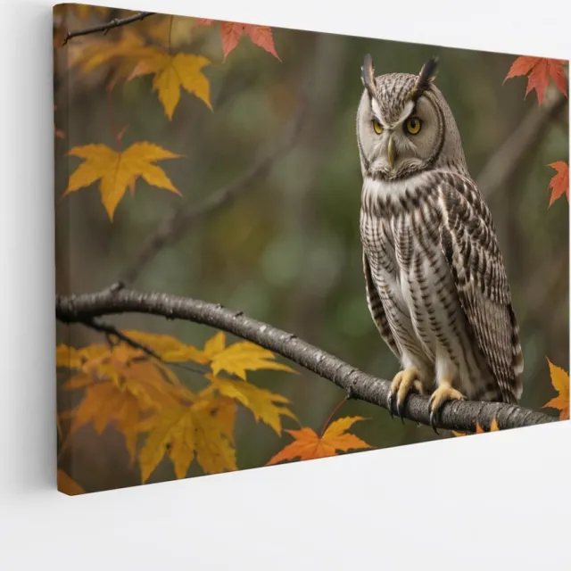 Saammp Canvas Schilderij - Uil op tak in de herfst - Natuur - Dieren - 90x60 - Foto op canvas - Wanddecoratie - Muurdecoratie Woonkamer - Slaapkamer decoratie - Canvas Print Multicolor