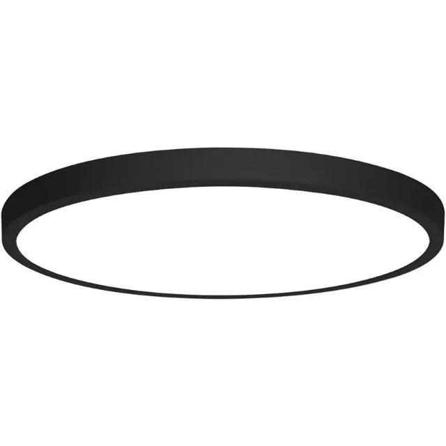BES LED LED Paneel - Ø30 - 24W - Helder/Koud Wit 6400K - Mat Zwart - Opbouw - Rond - Aluminium