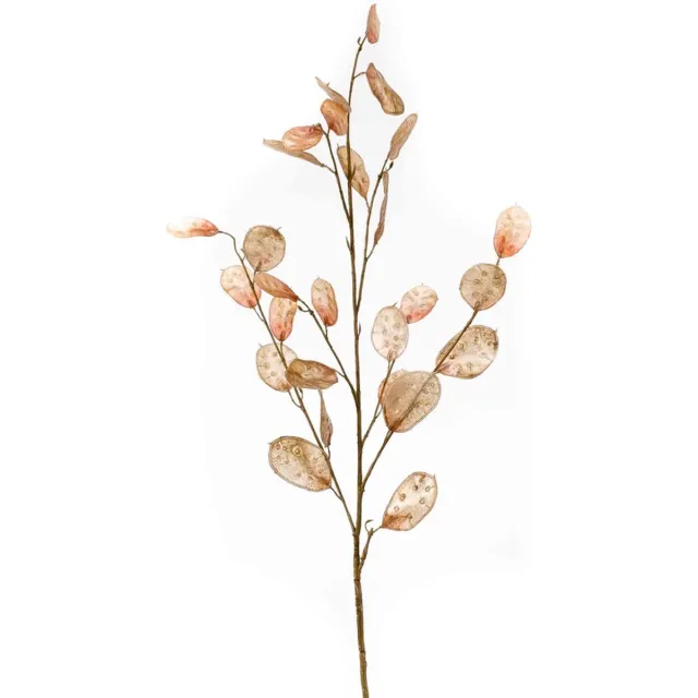 Natuurlijk Bloemen Kunstbloemen - Zijde Bloemen - Nep bloemen Luxe Bloemen - Judas penning 100 cm - Natuurlijk Bloemen Bruin