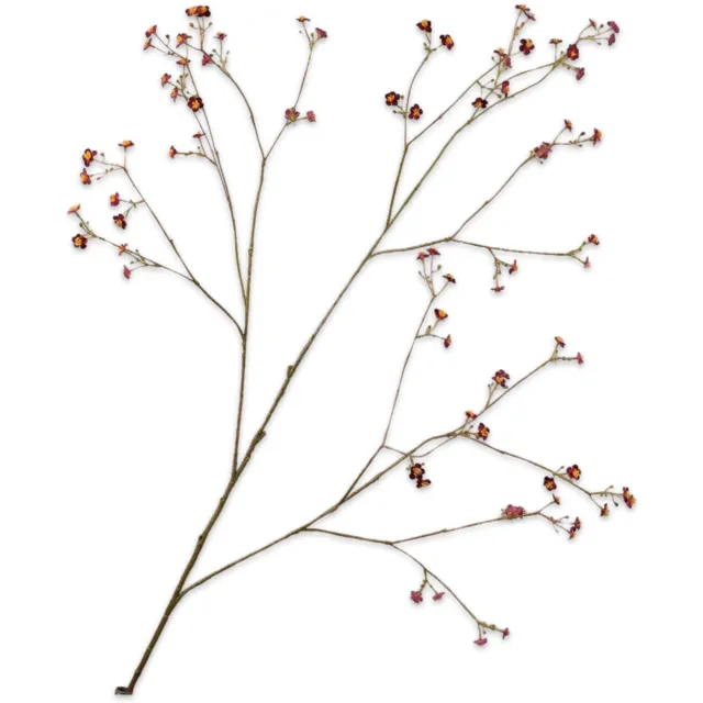 Silk-ka Vergeetmeniet tak paars 132 cm