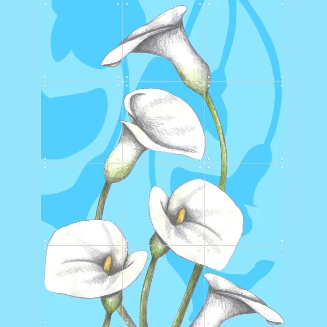 IXXI Calla Lily, Cecilia Battaini - 60 x 80 cm - Grote wanddecoratie en posters - Illustraties, Digitale Kunst, Grafisch Ontwerp, Eetkamer, Woonkamer Blauw / Wit