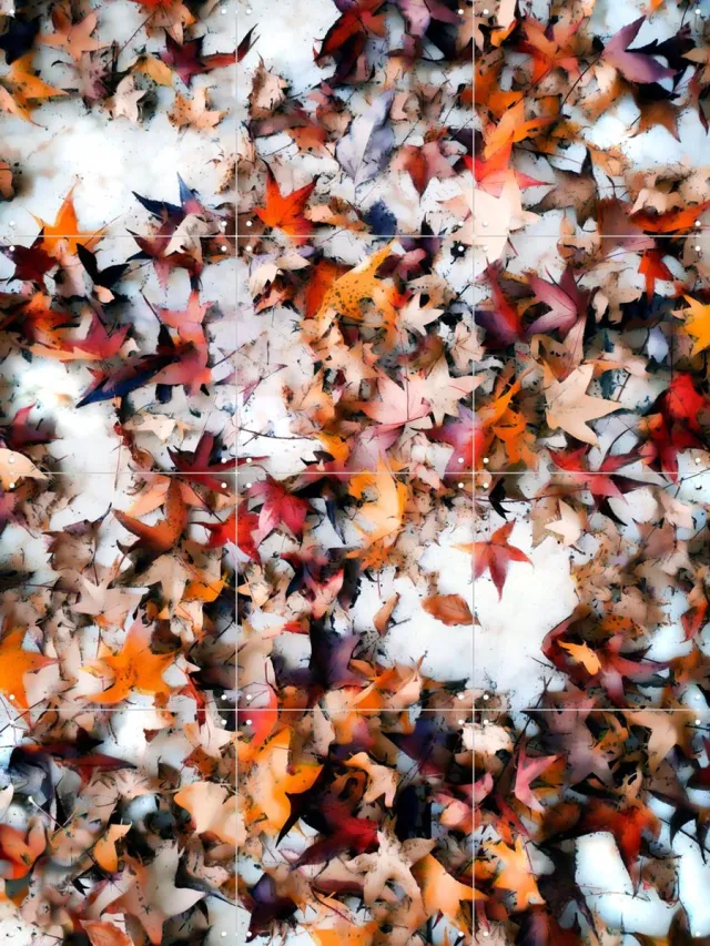 IXXI Leaves On Snow, Angelo Cerantola - 60 x 80 cm - Grote wanddecoratie en posters - Kleurrijk, Modern, Abstract, Digitale Kunst, Gang, Studeerkamer Bruin