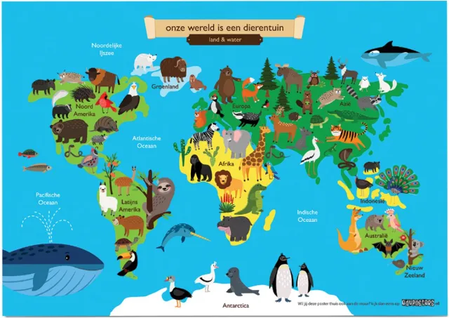 eduposters Educatieve poster (Posterpapier) - Topografie wereld land en water - 70 x 50 cm (B2) Blauw