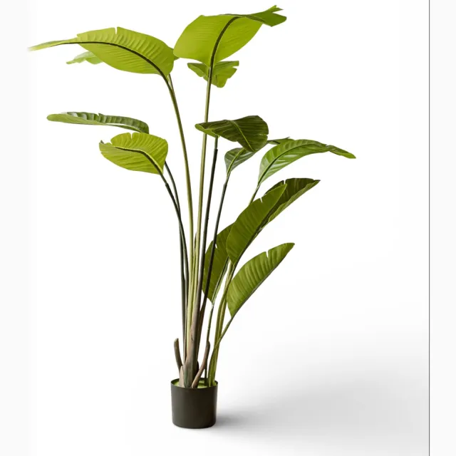 Indore Home Indore Silva Strelitzia Kunstplant 150 cm – Luxe Paradijsvogelplant – Grote Kamerplant – Onderhoudsvrij Groen